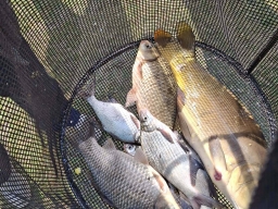 669648165_1383635077128903_5394832036826263415_n